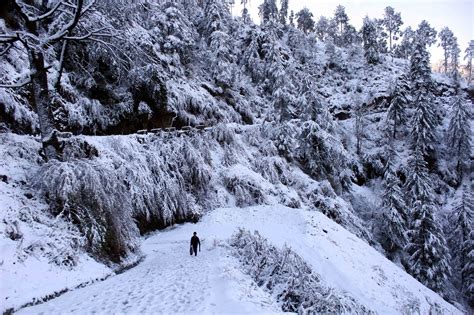 Kalpa in Himachal wrapped in snow blanket - KalingaTV