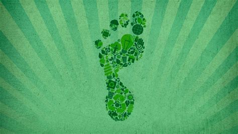 A carbon footprint calculator should be your first step in evaluating ...