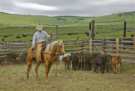 Pin on !Cachorros Stories Instagaram | Montana ranch, Ranch life, Ranch