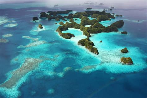 Interesting Facts About Palau and Yap - Fly & Sea Dive Adventures