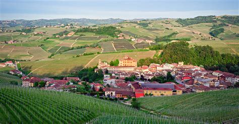 Barolo - A Guide To Barolo Red Wines From Italy | Wine 101