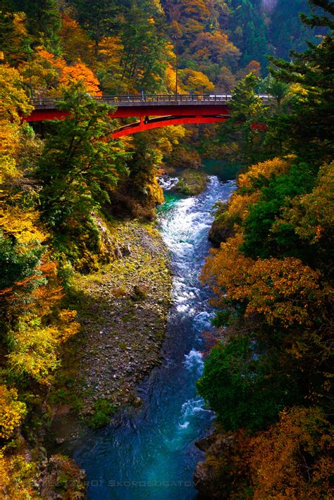 Autumn Bridge, Okutama, Japan photo on Sunsurfer