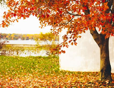 Fall Photography Print, Autumn Leaves Art, Fall by the Lake, Autumn ...