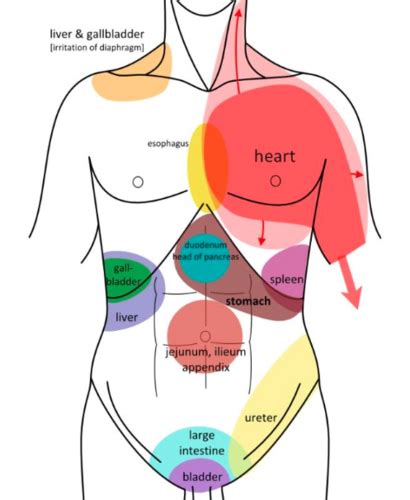 Gallbladder Referred Pain