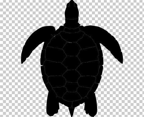 Sea Turtle Silhouette PNG, Clipart, Animal, Animals, Art, Clip Art ...