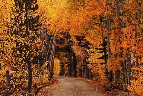 Best Time to See Changing Aspens in Colorado - Day Hikes Near Denver