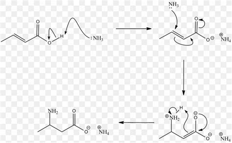 carboxylic acid amine reaction – carboxylic acid to amide – TURJN