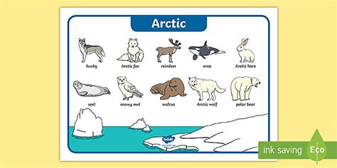 Arctic Animals Word Mat (teacher made) - Twinkl