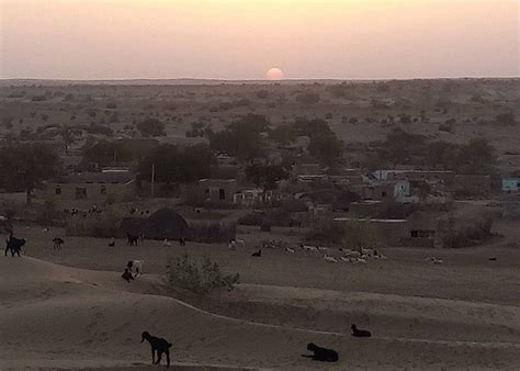 Desert / Camel Safari Jodhpur | Namaste Rajasthan