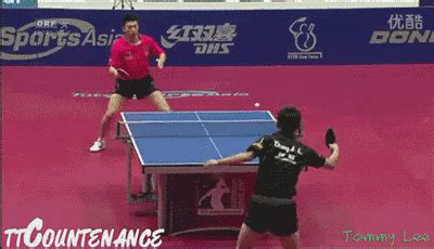 Table tennis GIF - Find on GIFER