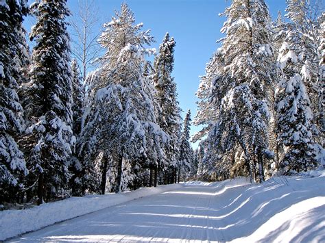 Bill's Magical Mystery Tour...: A Real Northern Minnesota Winter