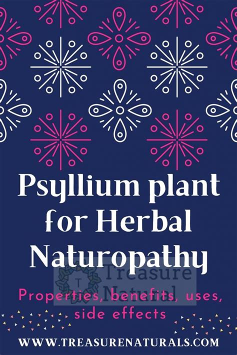 Psyllium plant for Herbal Naturopathy: properties, benefits, uses, side ...