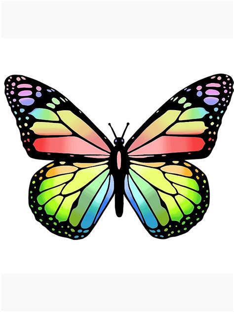 Cute Butterfly Drawing | Free download on ClipArtMag