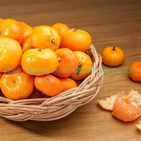 Baby Mandarin Orange / Nanfeng Orange /Fresh Mandarin Orange - China ...