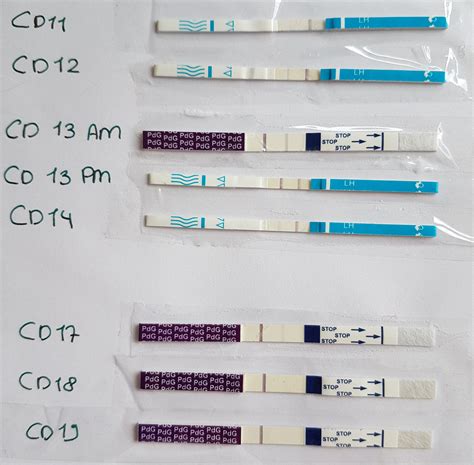 How to use cheap ovulation tests: LH strips | Ingefleur Fertility Homeopath