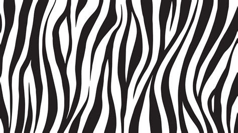 Zebra Stripes Background