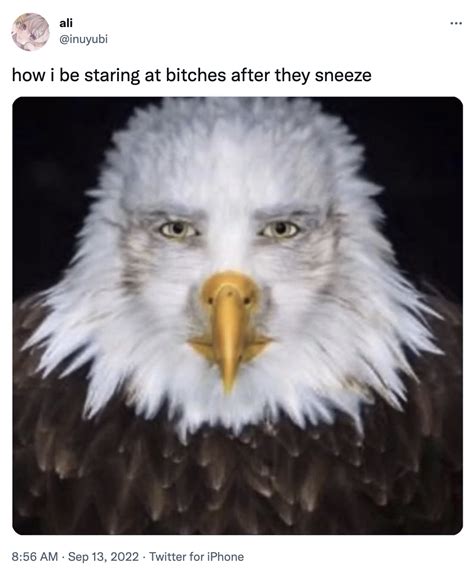 Staring Eagle Man Meme | Staring Eagle | Know Your Meme