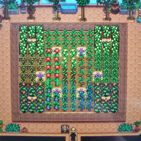 delicatezza Deviazione Allineare greenhouse stardew valley sprinkler ...