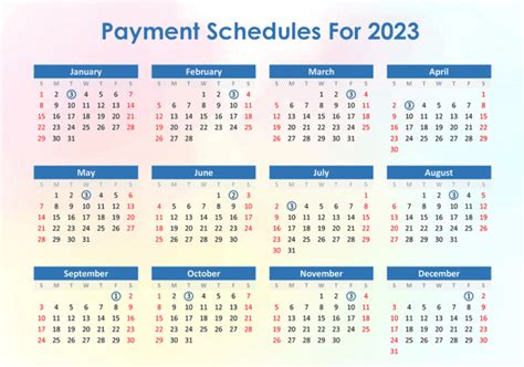 Social Security Disability Payment Schedule 2024 | Liner