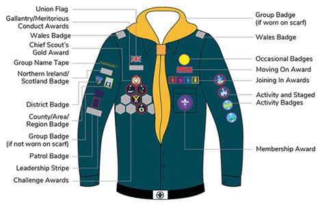 Scouts – Badges | Leire & Dunton Scout Group