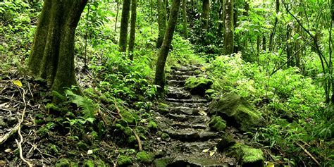 Big Island Hikes | Hiking On The Big Island | I Love Hawaii