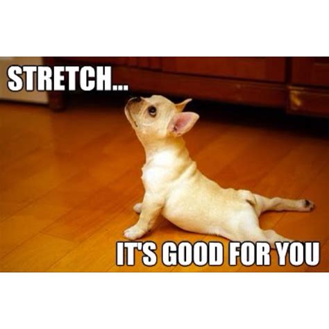 Stretching Exercise Quotes. QuotesGram