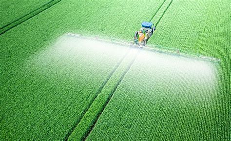 Demystifying Pesticide Residues | Food Safety