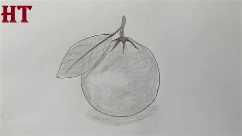 Orange Fruit Pencil Sketch