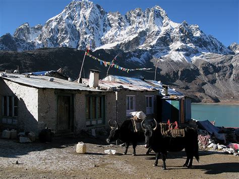 About Us - Nepal Skyline Adventures