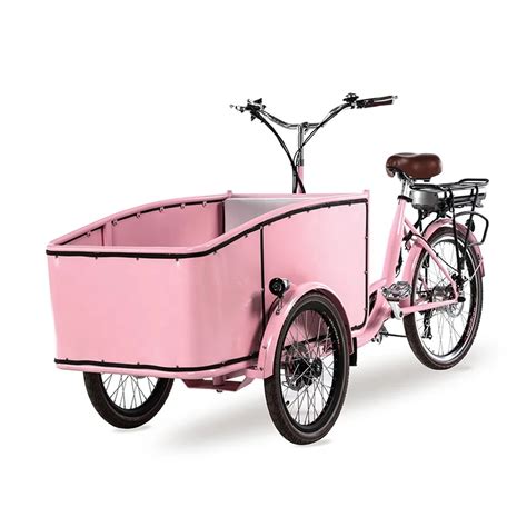 Bakfiets Electric Cargo Bike | lupon.gov.ph