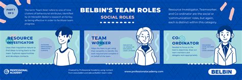 Belbin Team Roles In Nursing