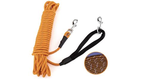 Best dog training leads to teach your pup obedience, heel work and recall