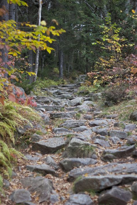 Rocky Trail Hiking • Free Nature Stock Photo