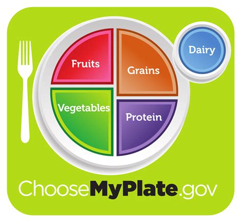 MyPlate: The New and Improved Food Pyramid For Kids