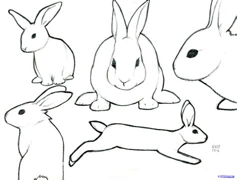 Free Bunny Outline Pictures - Clipartix | Rabbit drawing, Bunny drawing ...