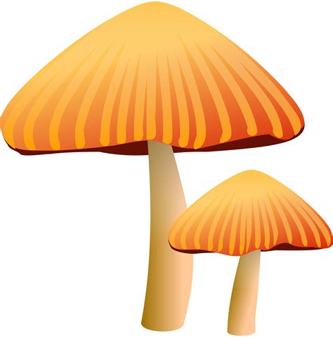 Clipart orange mushroom - Clipartix