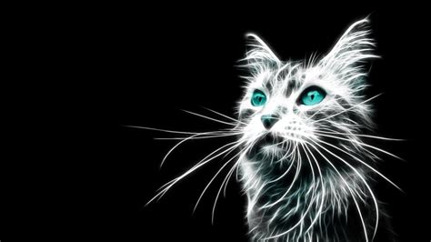 Neon Cat Wallpapers - Top Free Neon Cat Backgrounds - WallpaperAccess