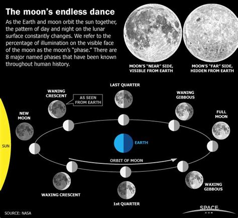 Earth's Moon Phases, Monthly Lunar Cycles (Infographic) | Space