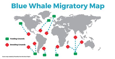 Simplified map of Orca Habitat by SEEtheWILD Conservation