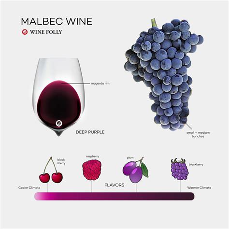 The Comprehensive Guide to Malbec | Wine Folly