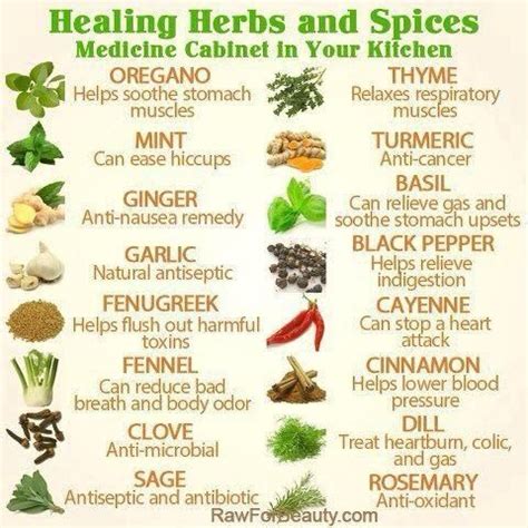 healing herbs and spices chart | Kitchen Tips / Hints / Spice Blends ...