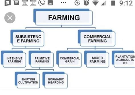 Agriculture Flow Chart