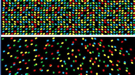 DNA nanoball sequencing