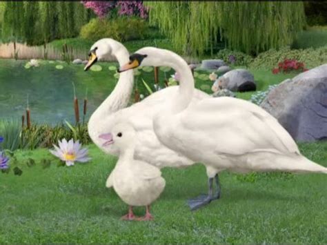 Save the Swan!/Save the Puppy! (2006)