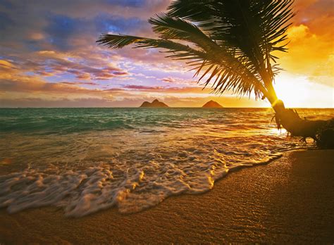 Lanikai Beach Sunrise Wall Mural | Wallsauce UK