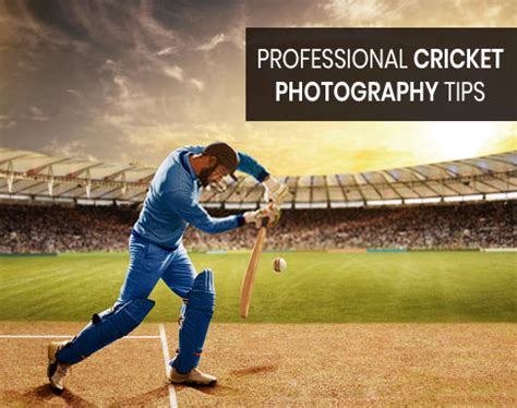 10 completely professional cricket photography tips that will shock you!