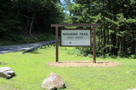 Walking Man 24 7: Mohawk Trail State Forest(Northern Berkshires)