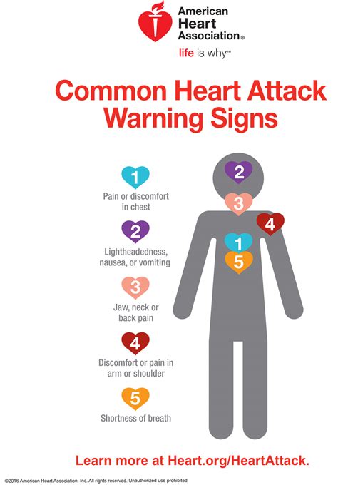 Heart Attack Symptoms & Emergency Care