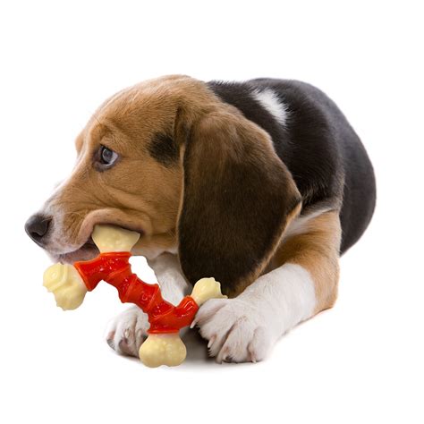 Nylabone Power Chew Dura Chew Double Bone Bacon Dog Chew Toy, Medium ...