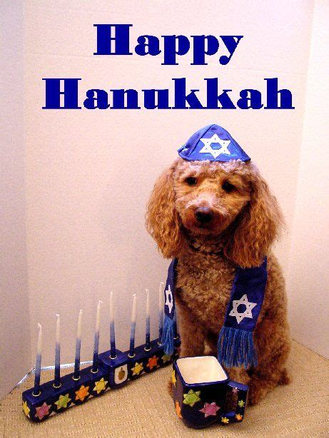 hanukkah | ... ? Because it is incredibly cute. This is what Hanukkah ...